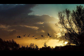 Heading South - Kostenloses image #281215